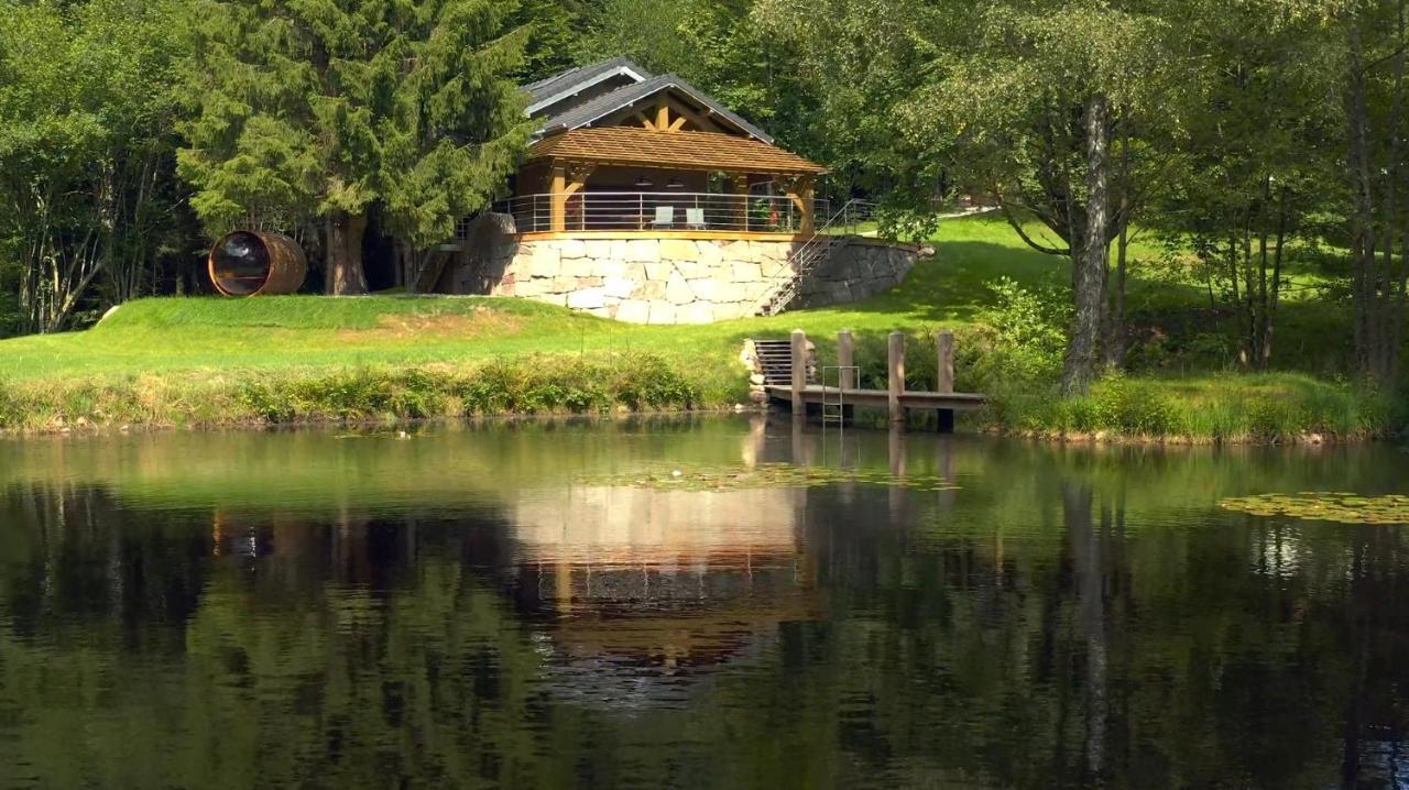 L'Ilet Aux 2 Etangs Villa Saint-Nabord Kültér fotó